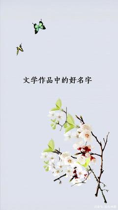 文学作品中好听的名字