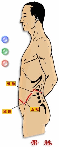 敲带脉减肥