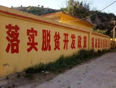 灵宝是不是贫困县之一