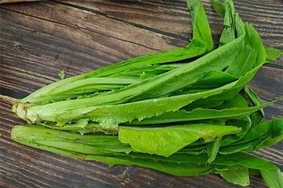 孕妇可以吃油麦菜