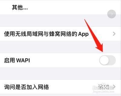 苹果手机中wapi是什么