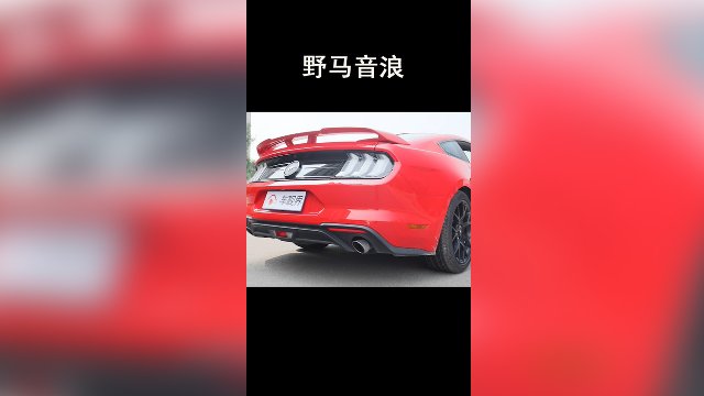 mustang发音