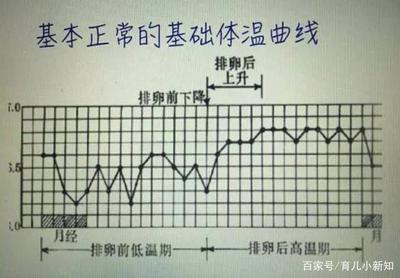 排卵期体温多少度