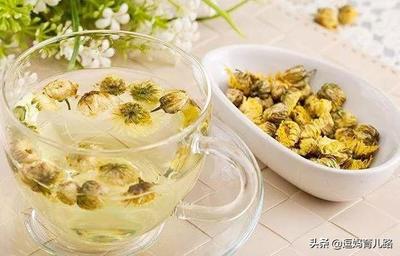 怀孕了能不能喝菊花茶
