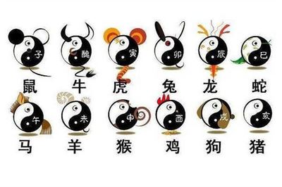 兔相克的生肖