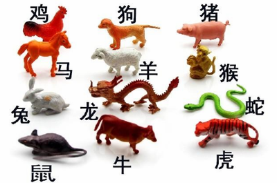 生肖猪和龙相配吗