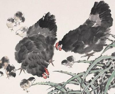 鸡的性格和脾气