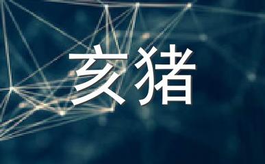 邻居是什么生肖