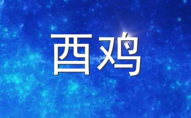 十月寒冬是什么生肖