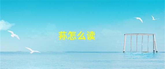 荪字怎么读