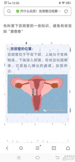 怀孕半个月肚子疼