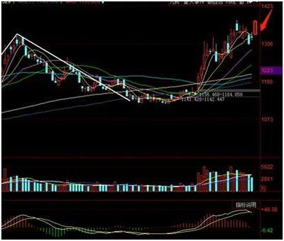 股票代码6开头的是什么意思