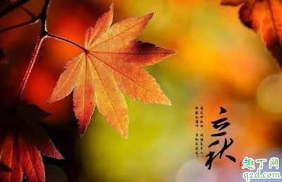 今年立秋是什么时间