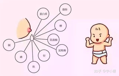宝宝多大可以断母乳