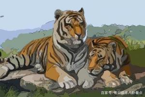 属虎86年多大