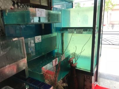 淮安魚缸水泵維修電話號碼查詢（淮安魚缸水泵維修電話號碼查詢地址）