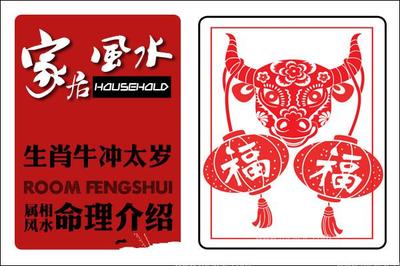 生肖对冲是什么意思