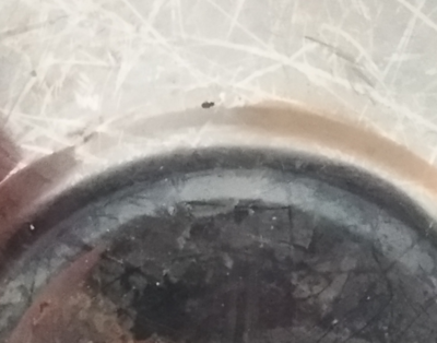 厨房有小虫怎么办