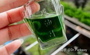风油精宝宝能用吗