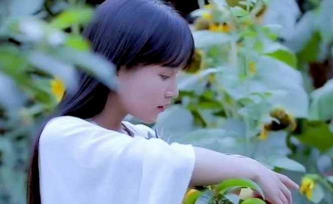 男孩李子什么名字好听