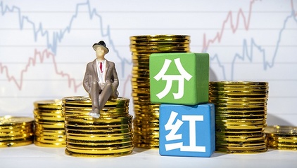小公司股东如何分红