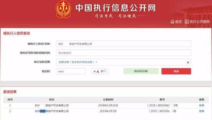 全国执行案件查询