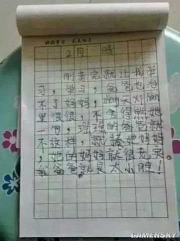 小学生做家务作文怎么写