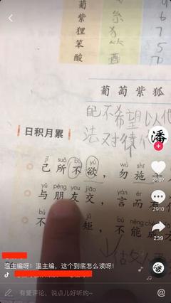 态度这个字怎么读