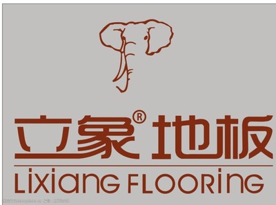 立象地板