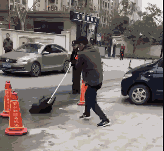 城管抓狗合法吗