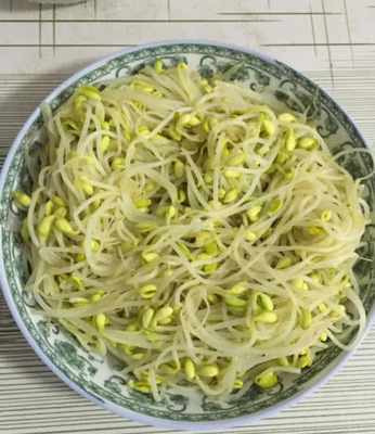 怀孕初期能吃绿豆芽吗