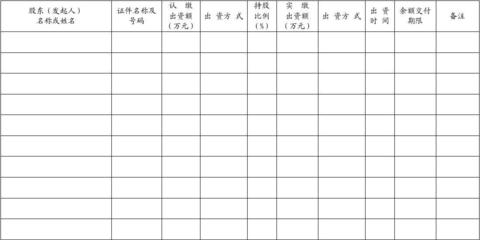 股东出资情况表