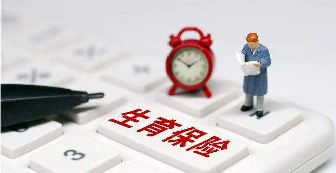 安徽省生育保险条例