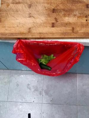 厨房洗菜自制垃圾桶