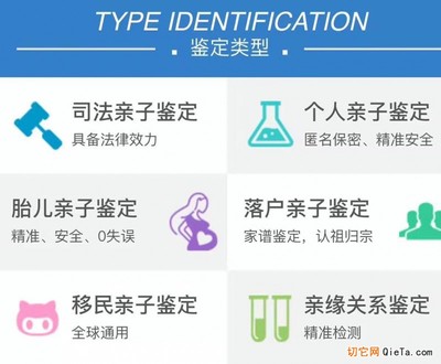 医院亲子鉴定挂什么科