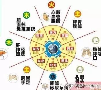 五行属水职业