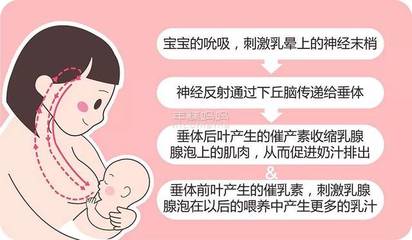 吃奶粉和母乳的区别