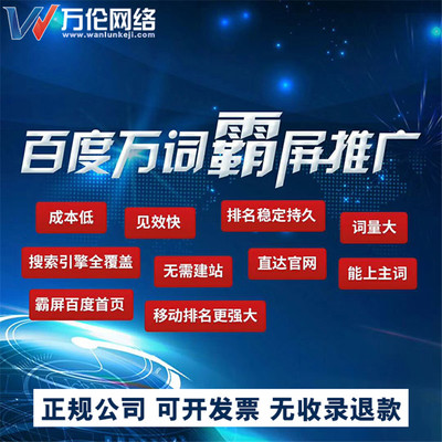 万伦网络:百度霸屏技术,重在执行力!