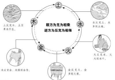 哲五行属什么