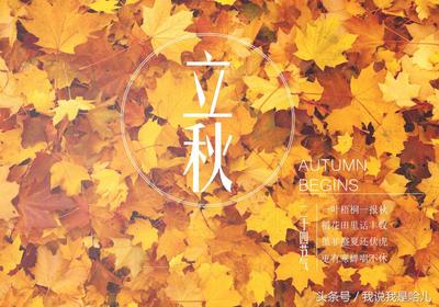今年立秋是什么时间