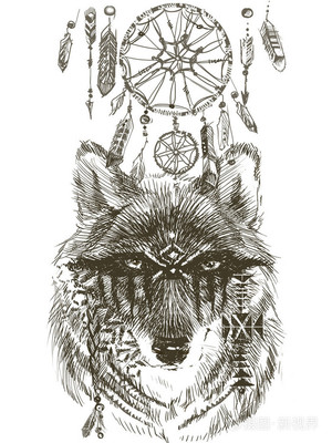 动物素描狼怎么画