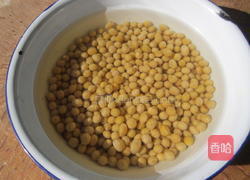 鲫鱼炖豆的做法大全家常