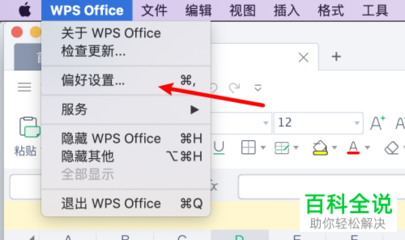 苹果电脑wps office