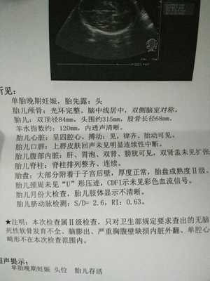 胎儿后期一周长多少斤