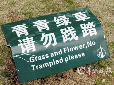 草坪的英语怎么说