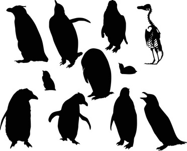 企鹅脚印像什么形状