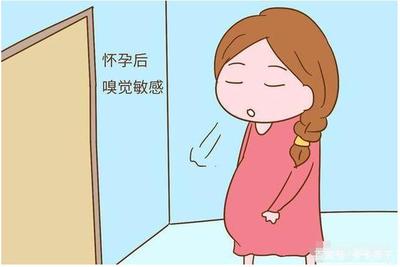 怀孕不吐正常吗