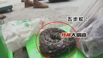 买卖蛇犯法吗