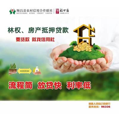 林权抵押贷款