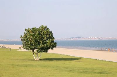 碧海公园